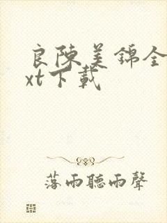良陈美锦全文txt下载