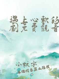 遇上心软的神短剧免费观看