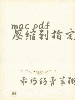 mac pdf压缩到指定大小