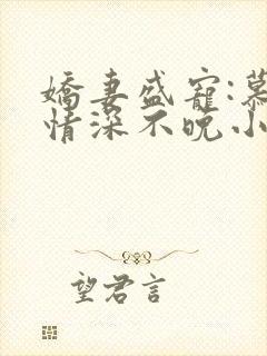 娇妻盛宠:慕少情深不晚小说