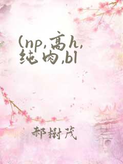 (np,高h,纯肉,bl