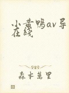 小黄鸭av导航在线