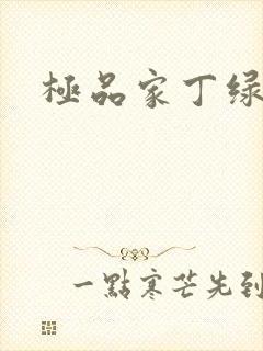 极品家丁绿帽文