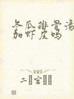 冬瓜排骨汤可以加虾皮吗
