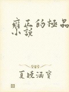雍正的极品后宫小说