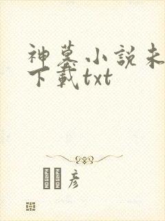 神墓小说未删版下载txt