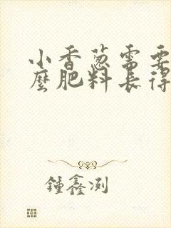 小香葱需要施什么肥料长得快