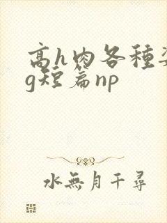 高h肉各种姿势g短篇np