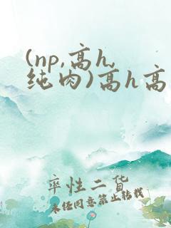 (np,高h,纯肉)高h高