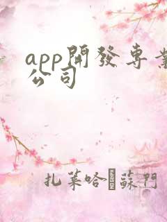 app开发专业公司