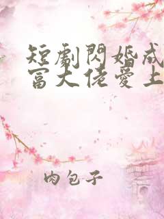 短剧闪婚成宠首富大佬爱上我