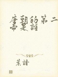 唐朝的第二个皇帝是谁