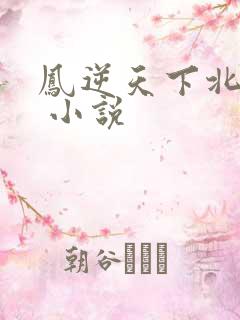 凤逆天下北月篇 小说