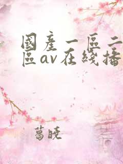 国产一区二区三区av在线播放
