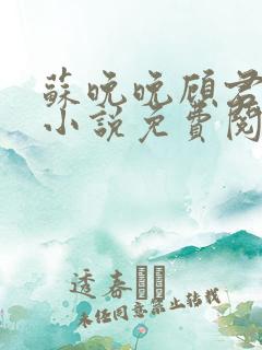 苏晚晚顾君衍的小说免费阅读