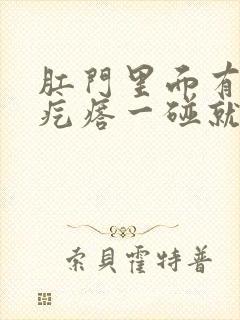 肛门里面有个硬疙瘩一碰就疼