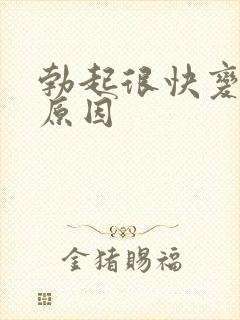 勃起很快变软的原因