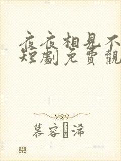 夜夜相见不识君短剧免费观看全集