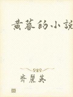 黄蓉的小说h