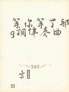 等你等了那么久g调伴奏曲