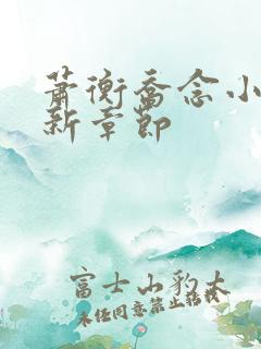 萧衡乔念小说最新章节