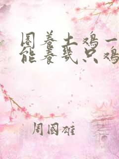 圈养土鸡一平方能养几只鸡