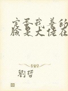 完蛋我养的小白脸是大佬在哪看