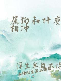 属狗和什么属相相冲