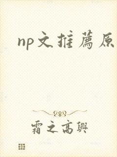 np文推荐原耽