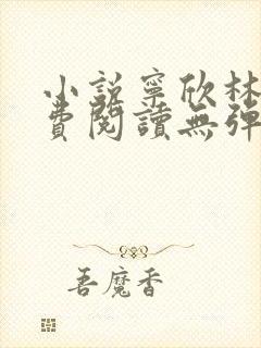 小说宁欣林峰免费阅读无弹窗