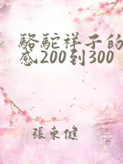 骆驼祥子的读后感200到300