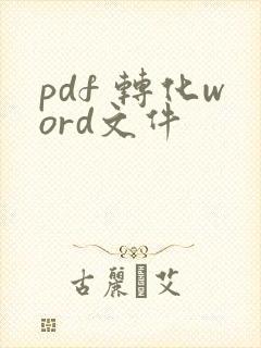 pdf 转化word文件