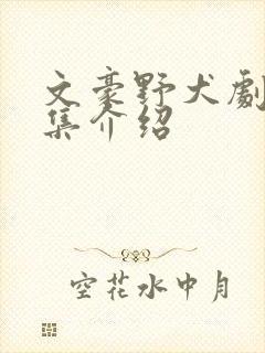文豪野犬剧情分集介绍