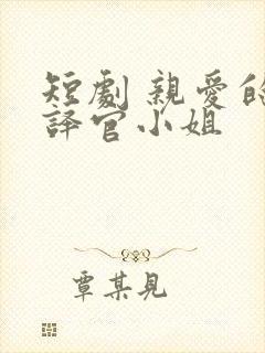 短剧 亲爱的翻译官小姐