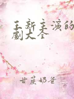 王新主演的电视剧大全