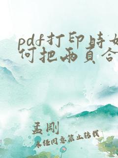 pdf打印时如何把两页合并成一页