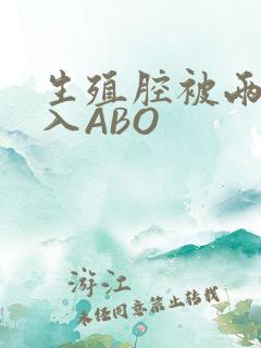 生殖腔被两根进入ABO