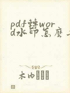 pdf转word水印怎么去掉水印
