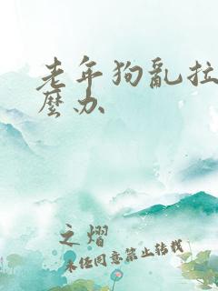 老年狗乱拉尿怎么办