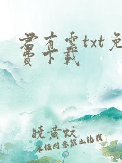 君有云txt免费下载
