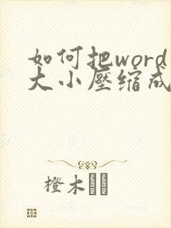 如何把word大小压缩成5兆以内