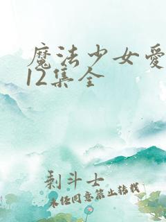 魔法少女爱蕾娜12集全