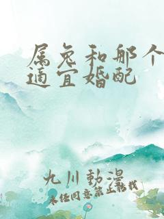 属兔和那个属相适宜婚配