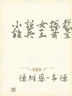 小说女总裁的全能兵王萧晨完结版