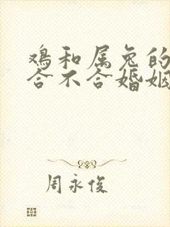 鸡和属兔的属相合不合婚姻
