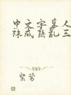 中文字幕人妻丝袜成熟乱三区