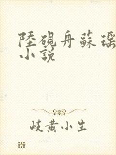 陆砚舟苏瑶军婚小说