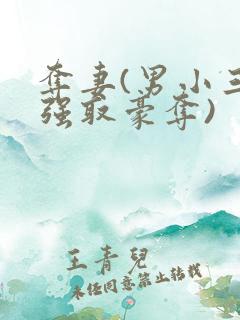 夺妻(男小三 强取豪夺)