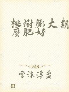 桃树膨大期用什么肥好