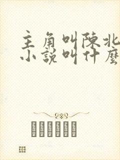 主角叫陈北玄的小说叫什么小说